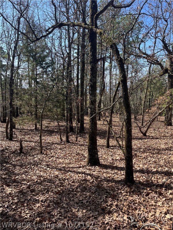 TBD 1156th Ave, Red Oak, OK 74563 - photo 7