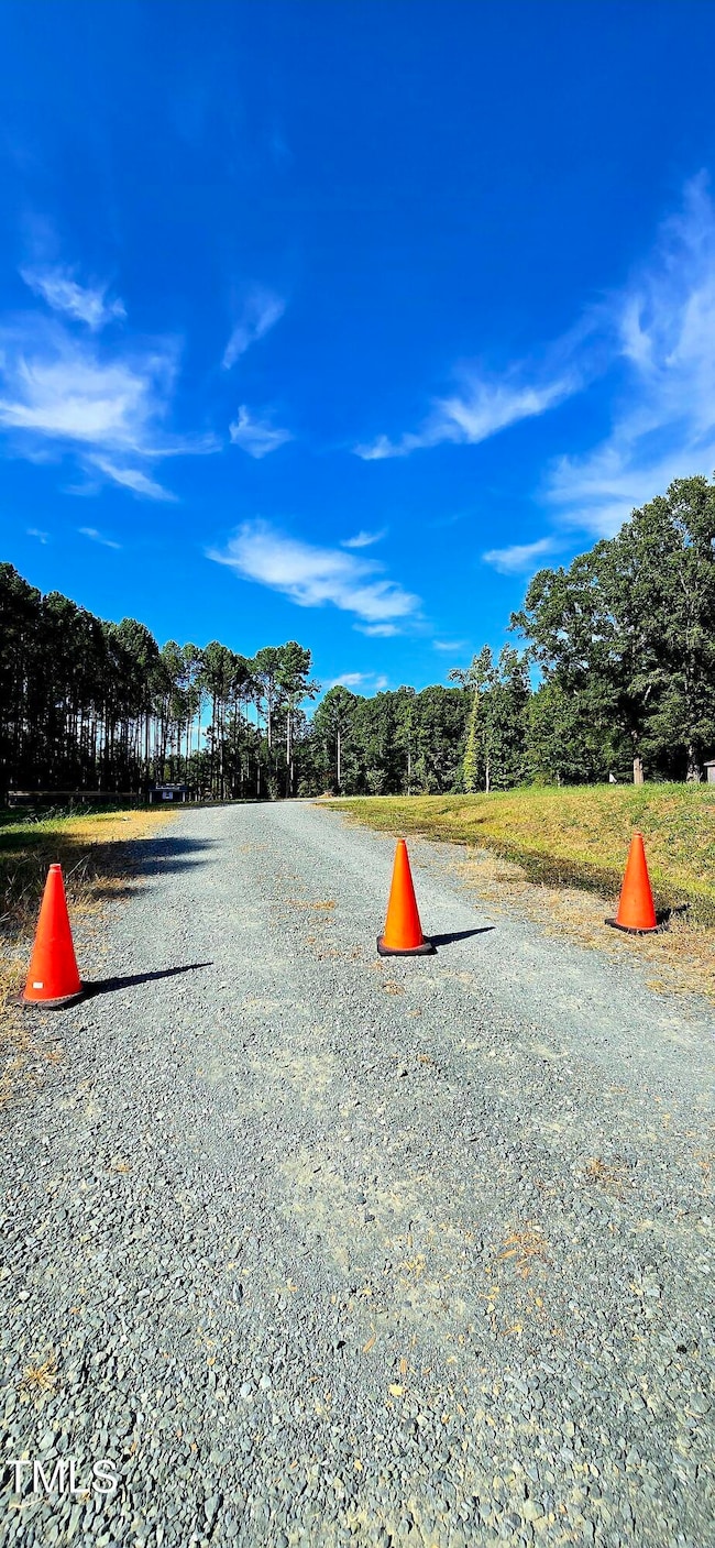 000 Lindo Ln, Chapel Hill, NC 27516 - photo 5