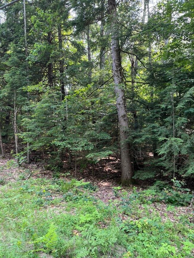 00 Sundorf St unit 6, Moultonborough, NH 03254 - photo 6