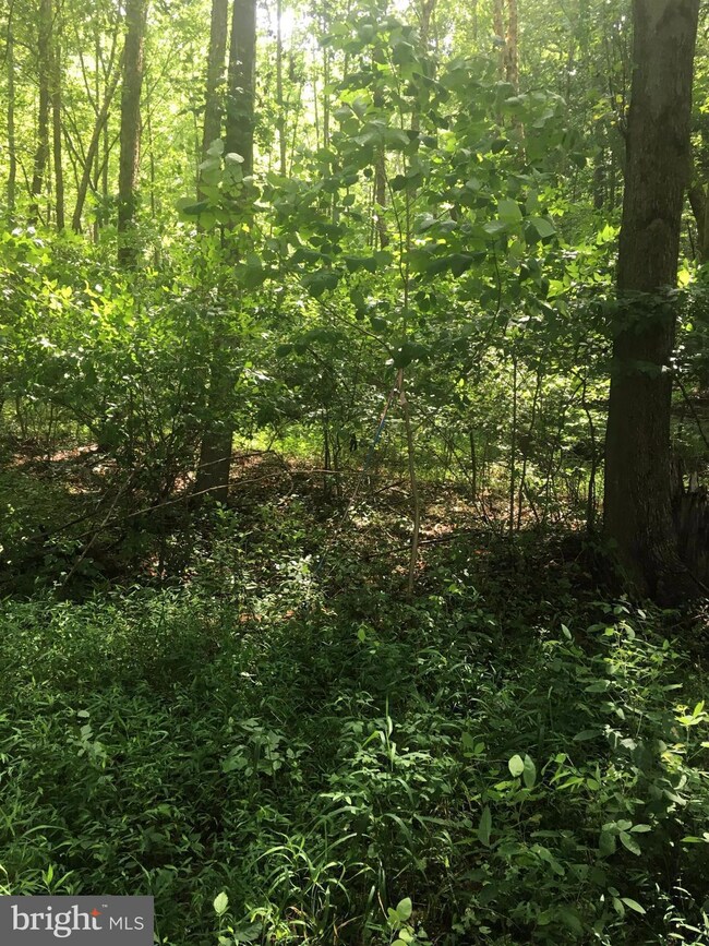 0 Norman Rd unit 1000094901, Stafford, VA 22554 - photo 3