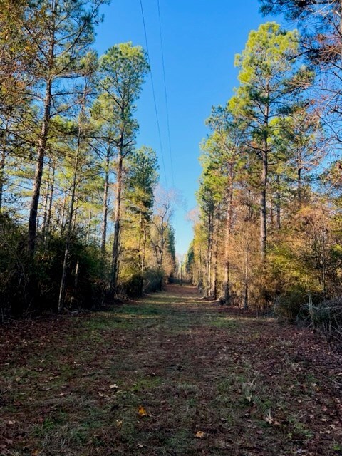 TBD Dinan Salem Rd, Tylertown, MS 39667 - photo 2
