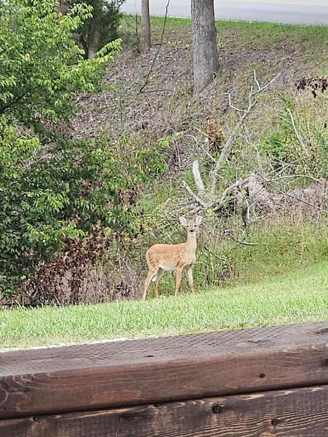 att.UIMF_8zyrR6Q-y3vIQEG8CJKiz1a6ACFilDb