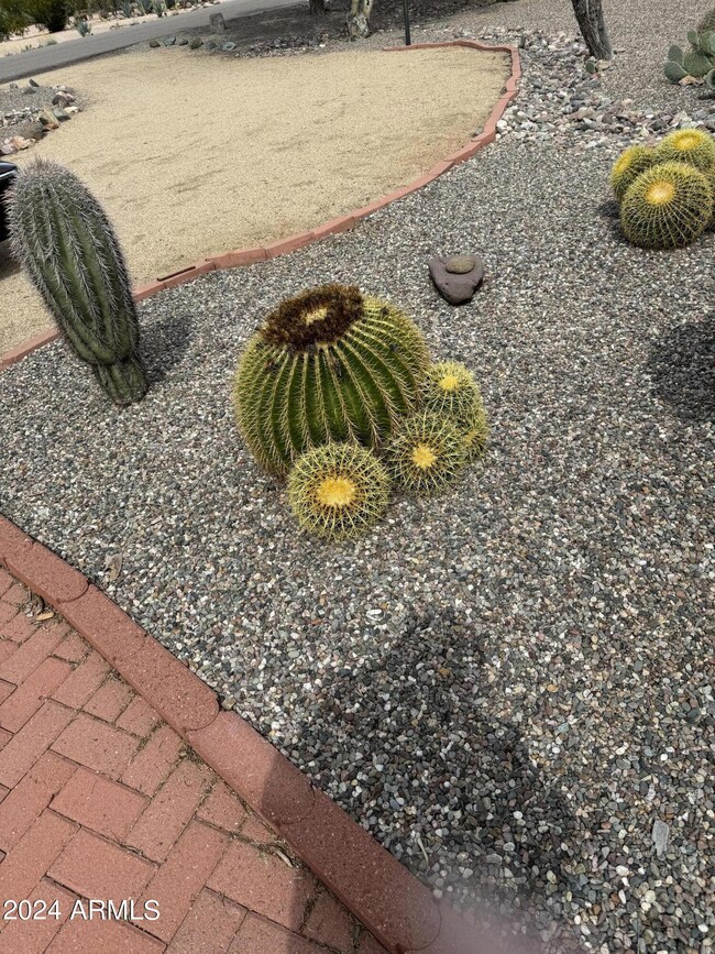 Nicely and neatly planned desert accents
