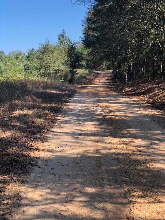 17 Singleton Rd, Tylertown, MS 39667 - photo 4