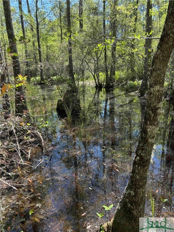 Cypress trees