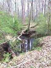 2860 Hickory Rd, Canton, GA 30115 - photo 5