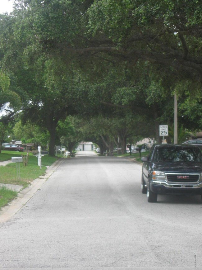 mature trees line the street