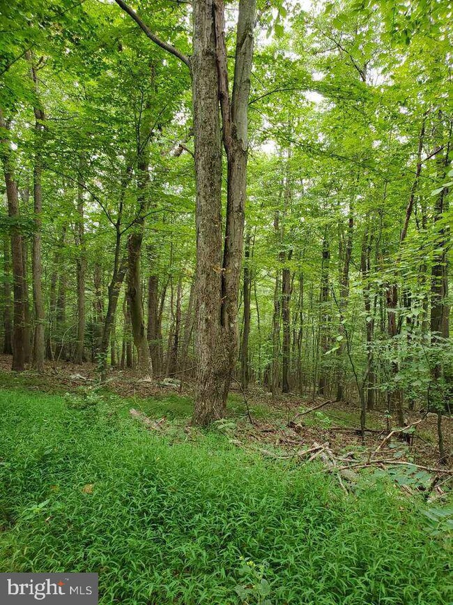 0 Bison Ridge Ln unit PAPY2000378, Newport, PA 17074 - photo 3