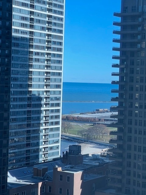ParkView Condominiums unit 2106, Chicago, IL 60611 - photo 3
