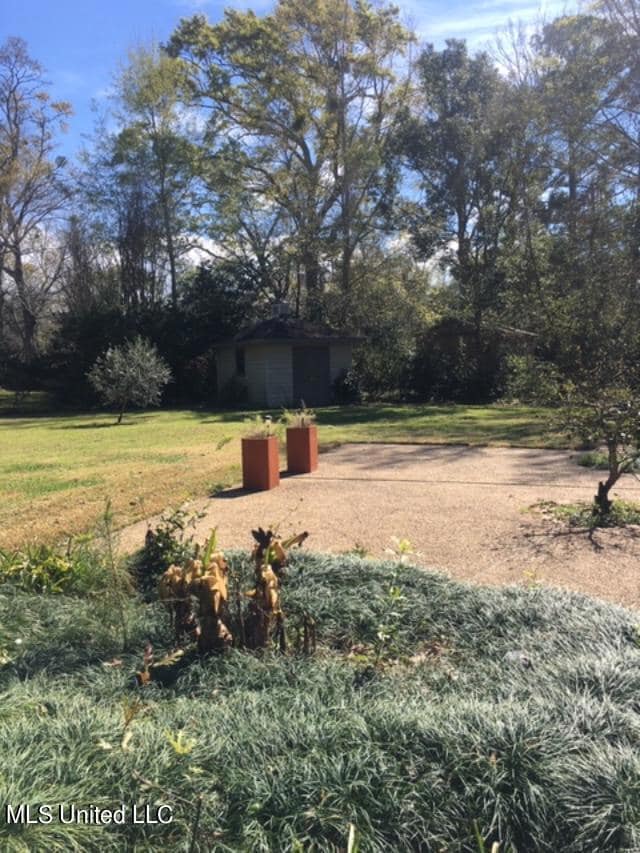 BACK YARD/PATIO