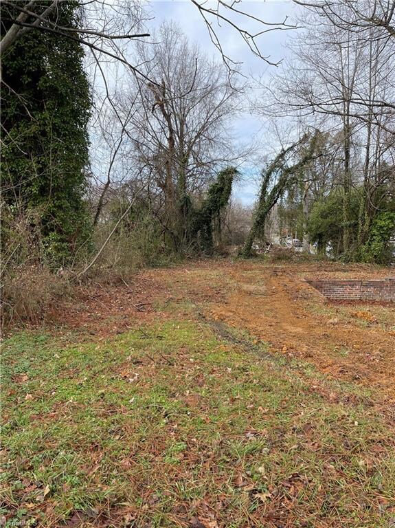 1117 Anderson Place, High Point, NC 27260 - photo 4