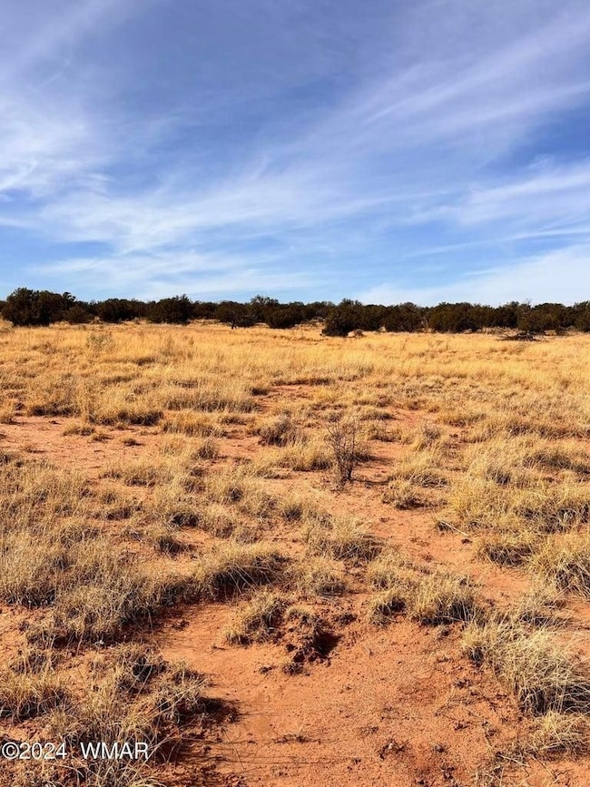 8581 Lawson Ln, Snowflake, AZ 85937 - photo 2