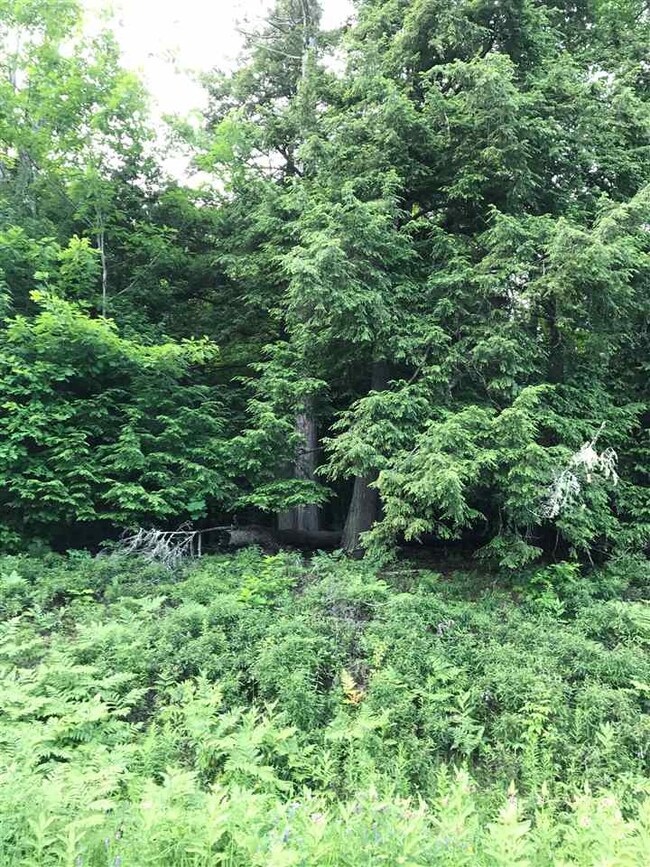 0 Perch Pond Rd unit 4612646, Lisbon, NH 03585 - photo 2