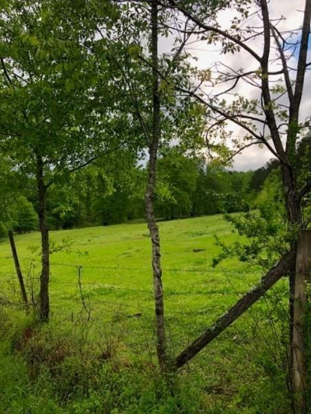 View of yard featuring a wooded view