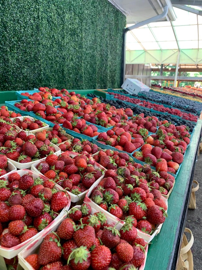 0 N Red Arrow Hwy unit 24007952, Sawyer, MI 49125 - photo 6