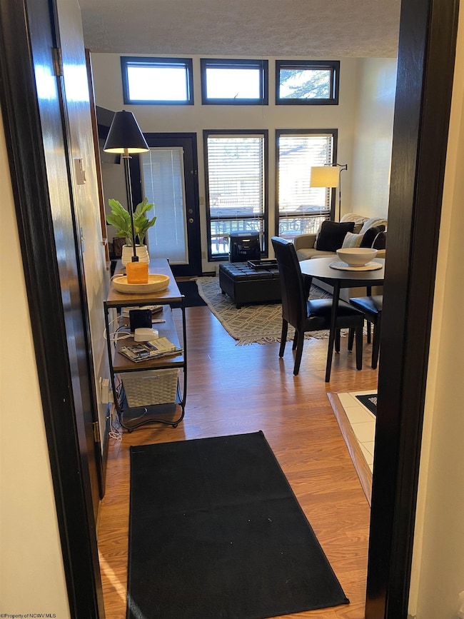 104 Deerfield Village, Davis, WV 26260 - photo 6