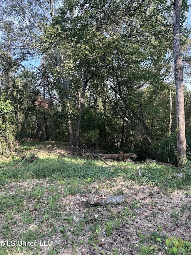 110 W Highway 28 Lot: 5, Harrisville, MS 39082 - photo 5