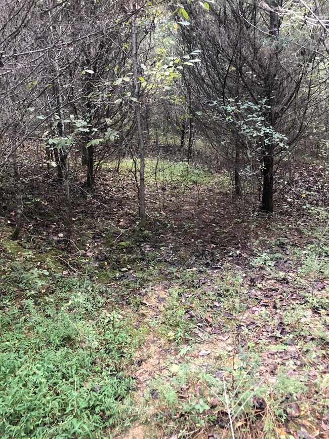 0 Ross Rd, Pulaski, TN 38478 - photo 5