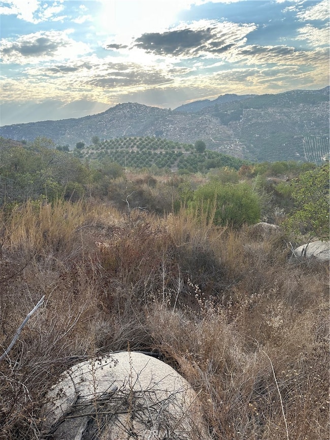 0 Vuelta Grande Rd unit SW25134063, Temecula, CA 92590 - photo 4