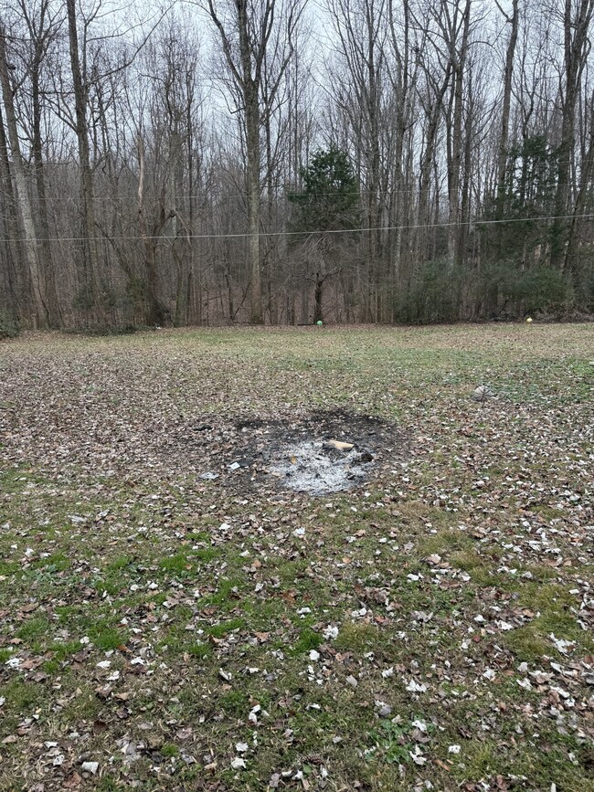 132 Wind Curve Cir, Lafayette, TN 37083 - photo 4