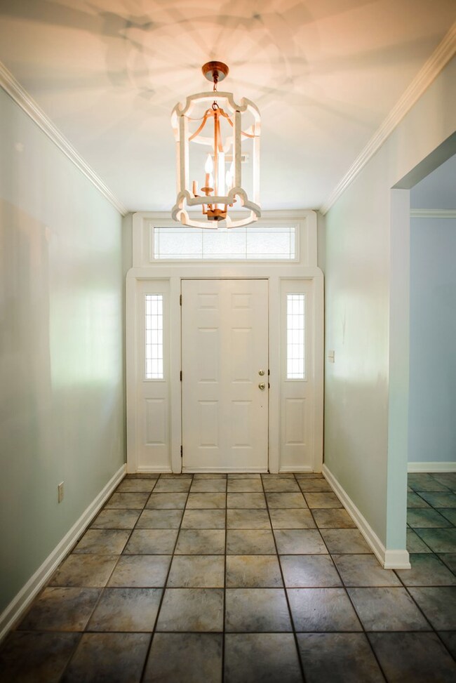 409 Timber Ln, Oxford, MS 38655 - photo 3