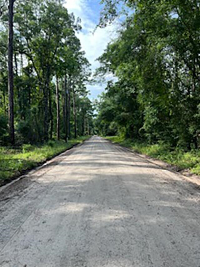 Lot  38 Neeley Rd, Crawfordville, FL 32327 - photo 4