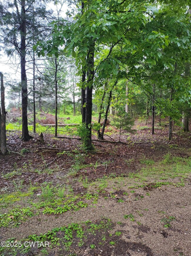 383 Tupelo Cove, Saulsbury, TN 38067 - photo 7