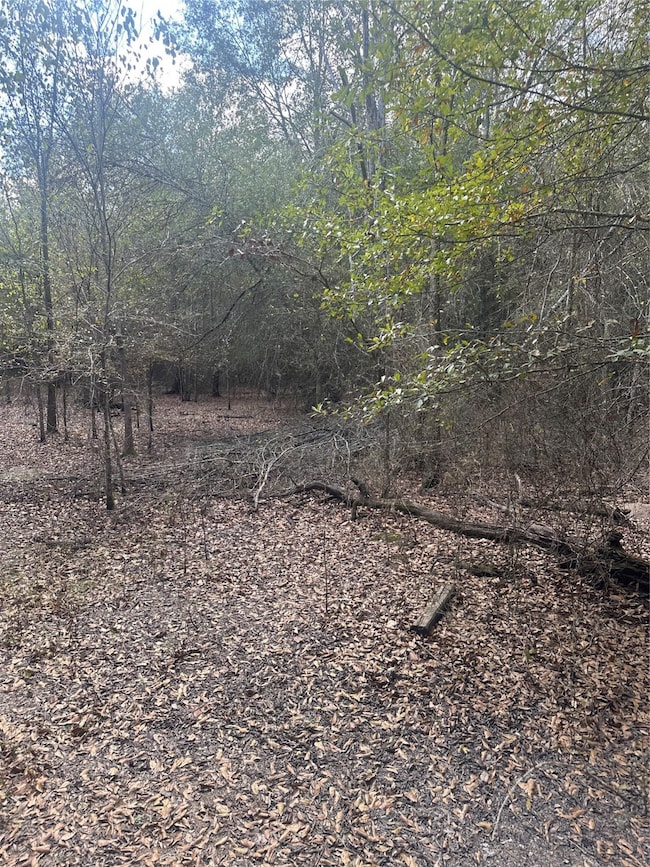 0 Fm 645 unit 10982756, Palestine, TX 75803 - photo 6