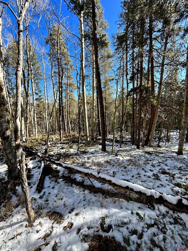 395 Soul's Ease Rd, Pitkin, CO 81241 - photo 2