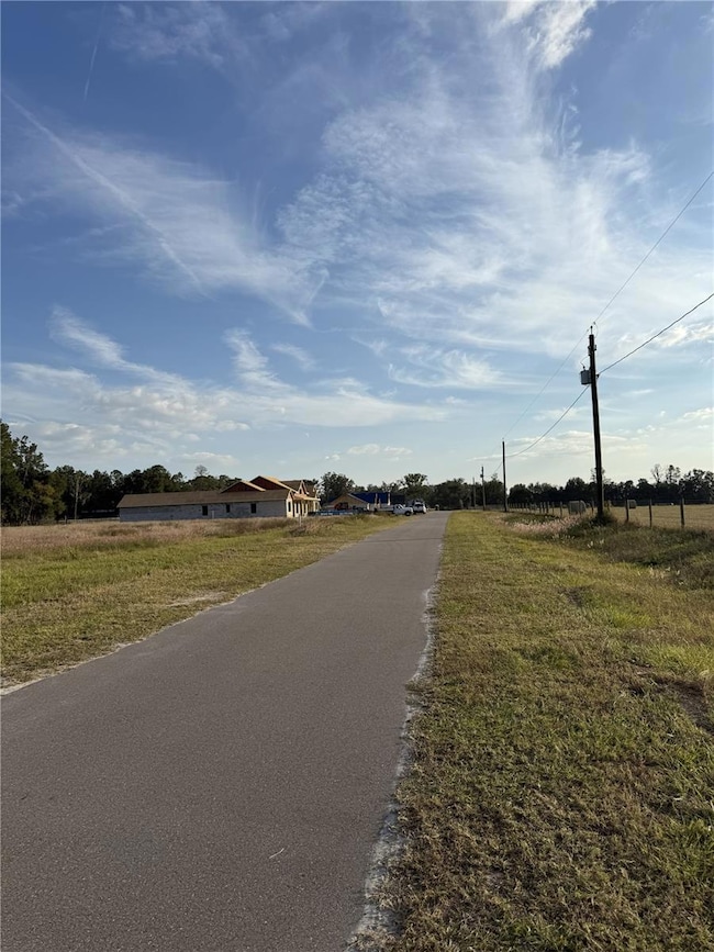 14950 Mim Place, Dade City, FL 33525 - photo 2