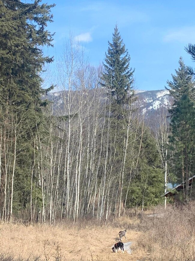 249 Elk Park Rd, Columbia Falls, MT 59912 - photo 3