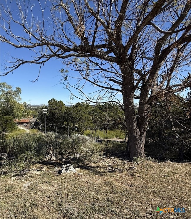 651 Scott Way, Canyon Lake, TX 78133 - photo 2