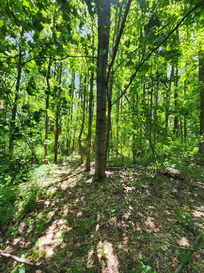 0 Co Road 800 unit 199206, Milan, IN 47031 - photo 3