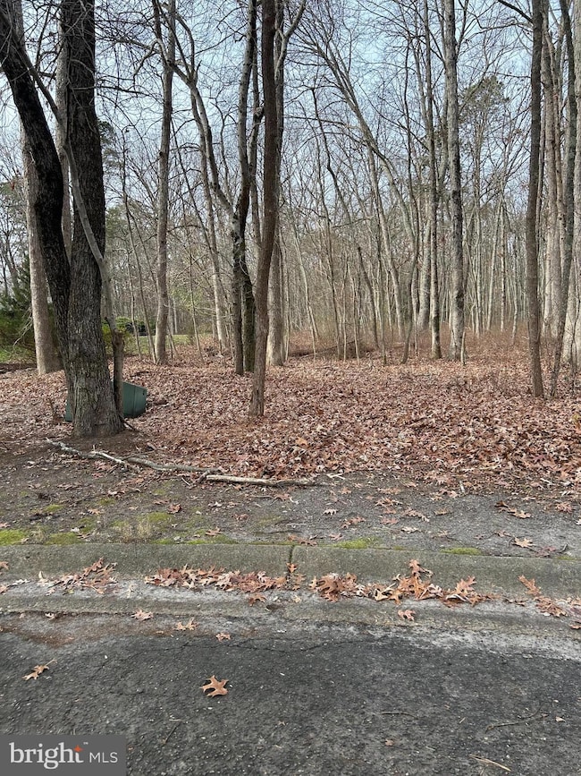 30 Muskingum Dr, Shamong, NJ 08088 - photo 3