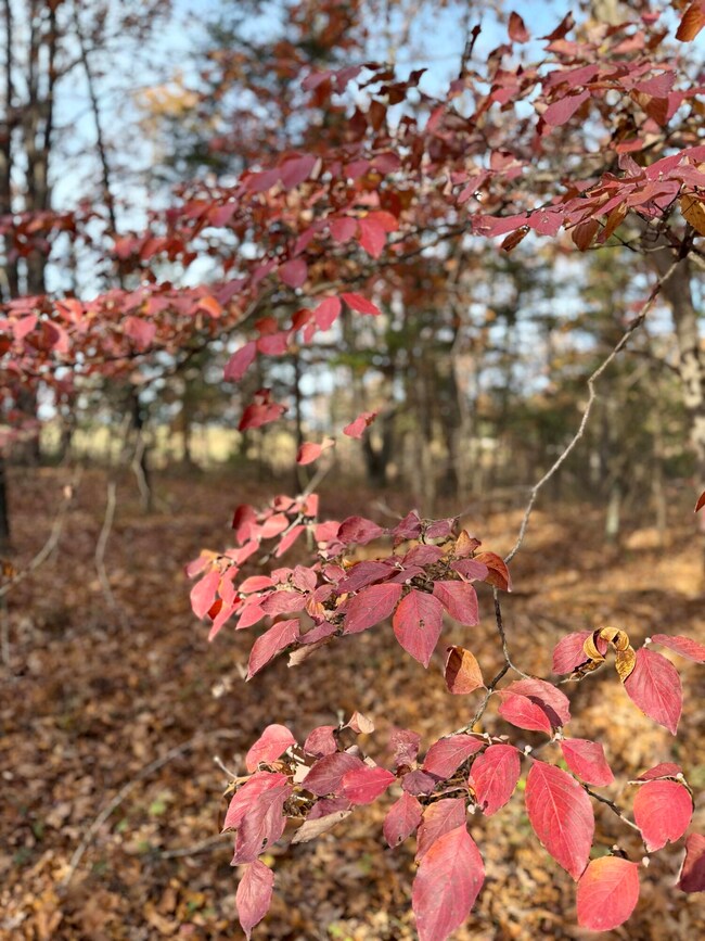 005 E 1650 Rd, Stockton, MO 65785 - photo 4