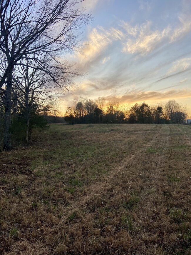 2525 Verona Caney Rd, Lewisburg, TN 37091 - photo 6