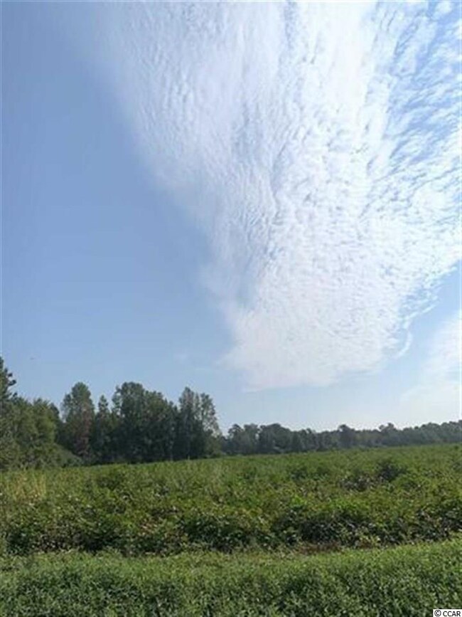 TBD Jamie Rd unit Tract E, Aynor, SC 29511 - photo 2