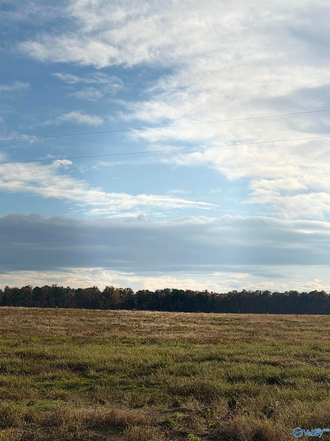 Lot 29 County Road 32, Piedmont, AL 36272 - photo 2