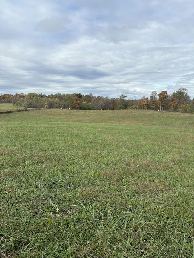Pine Grove Ch Rd, Vanceburg, KY 41179 - photo 2