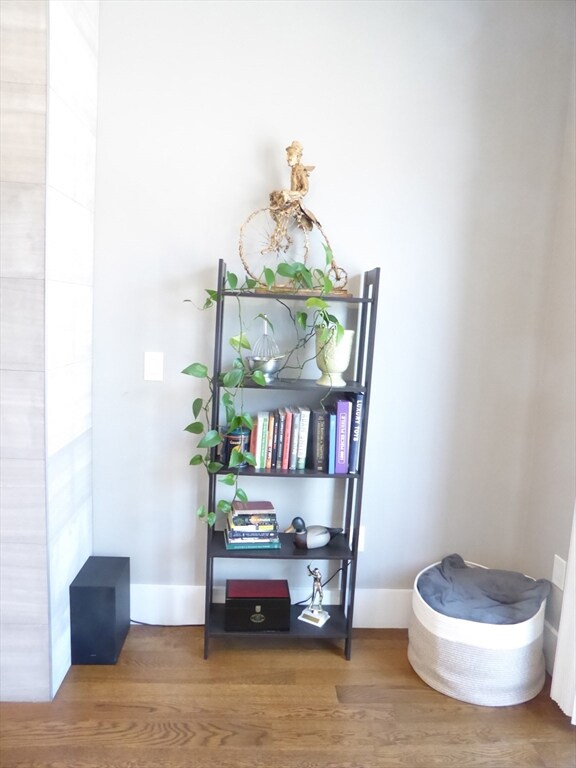 108 Dorchester St unit 2, Boston, MA 02127 - photo 3