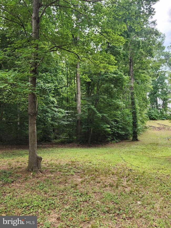 6412 Lawyers Rd, Spotsylvania, VA 22551 - photo 3