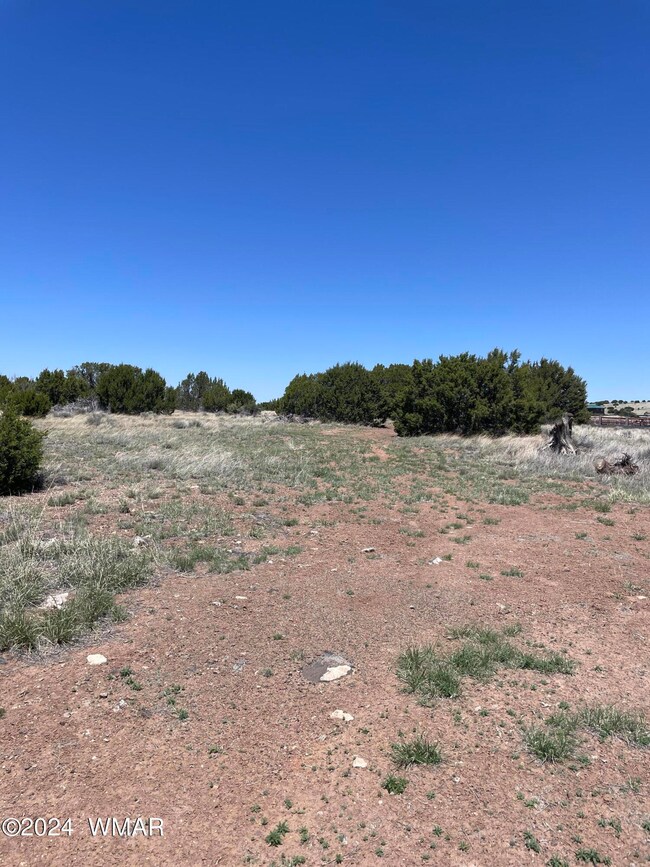 18 Pate Ln, Concho, AZ 85924 - photo 7