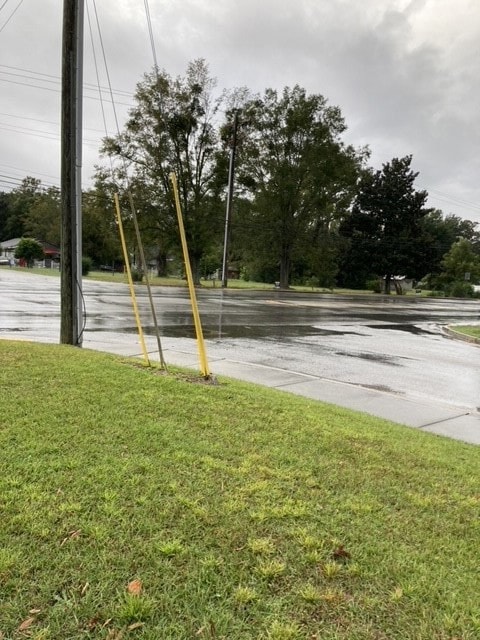 200 W Boyce St, Manning, SC 29102 - photo 4