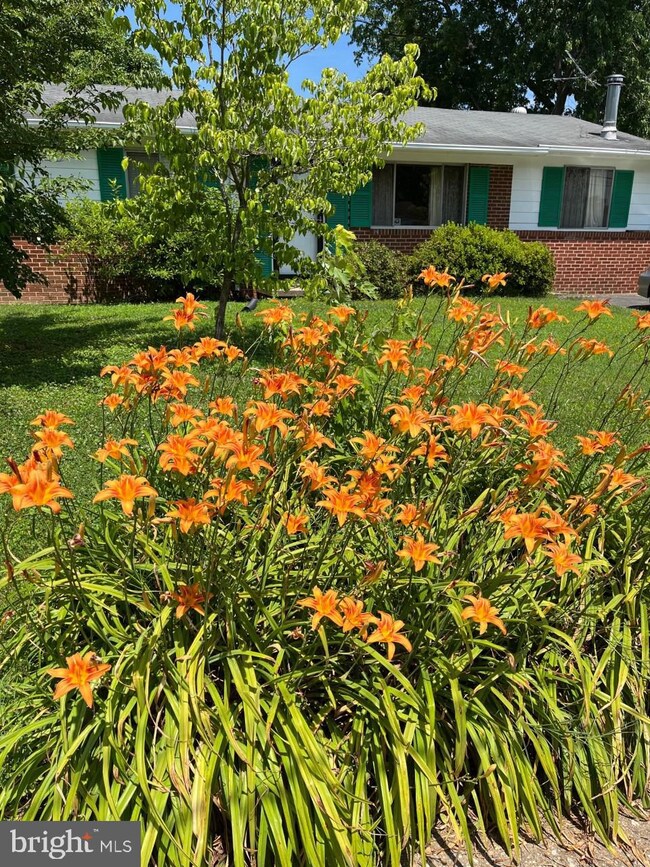 17850 Curtis Dr, Dumfries, VA 22026 - photo 2