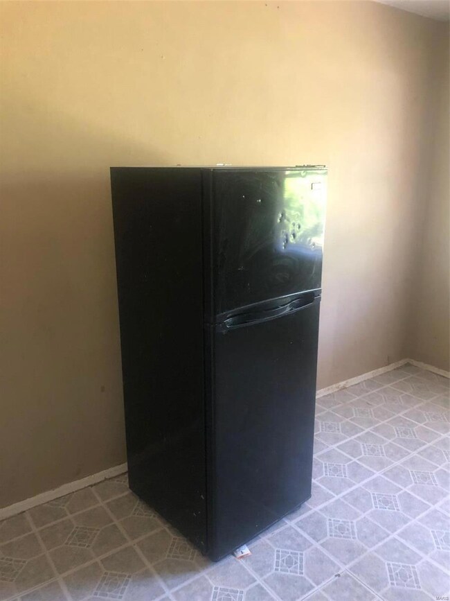 4455 Penrose St, Saint Louis, MO 63115 - photo 4