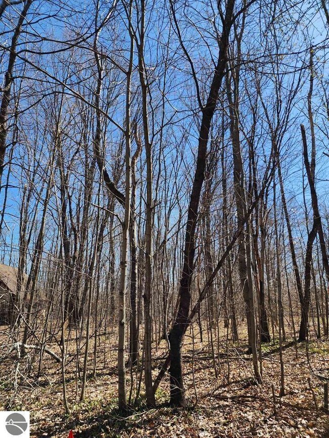 VL Cliffmont Dr, Lakes of the North, MI 49659 - photo 6