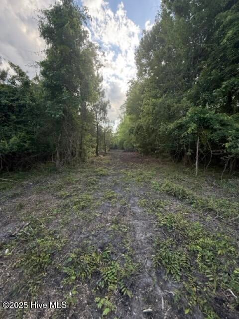 1805 Front St, Burgaw, NC 28425 - photo 6