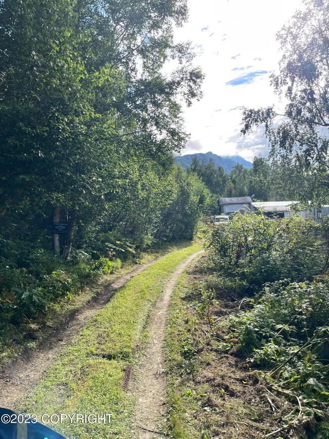 17100 Owens Dr, Lazy Mountain, AK 99645 - photo 3