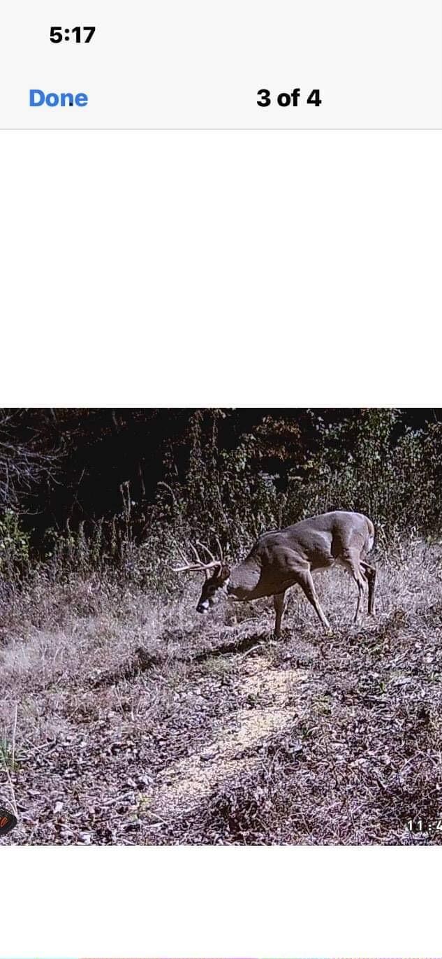 9999 Chestnut Branch Rd, Manchester, KY 40962 - photo 5