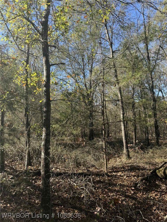 Tract 3 2nd St, Fort Coffee, OK 74959 - photo 5